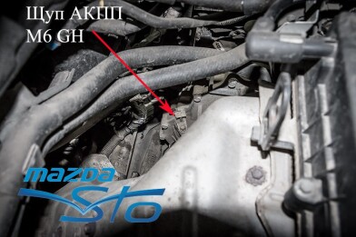 Моторные и трансмиссионные масла для автомобилей Mazda 6